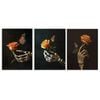 3pcs Holding an orange rose in her hand Print 100% Australian Made 3 x 40x60cm (Metal Print)