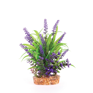 Kazoo Combination Plant - Thin Leaf W/Purple Flower (19568)
