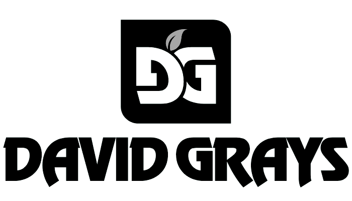 David Grays