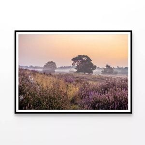 Field of Flowers with Trees  Print 100% Australian Made 90x60cm  (Poster)