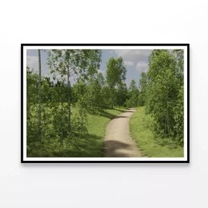 Path Surrounded By Trees  Print 100% Australian Made 90x60cm  (Poster)