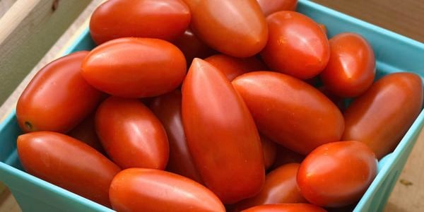 Grow your own lunchbox snacks at home this Spring.