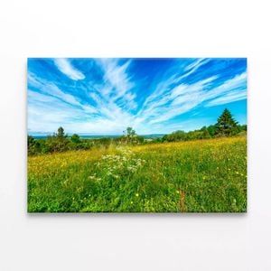 Flowering Meadow with Cloud   Print 100% Australian Made 150 x 100cm  (Stretched)
