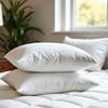 Royal Comfort Duck Feather Down Topper And Pillows Set White Double