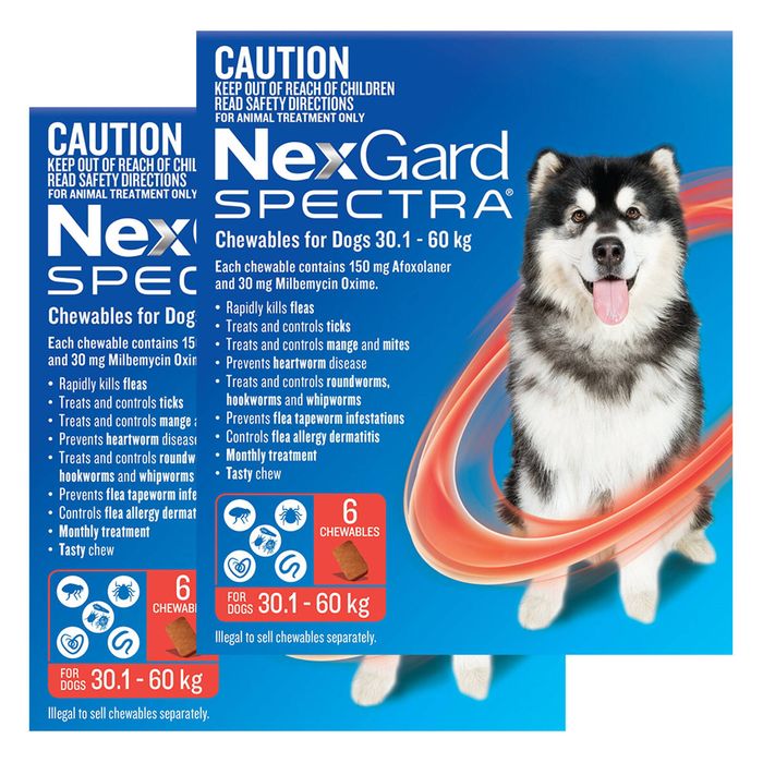 Nexgard Spectra Extra Large Dogs (30.1 - 60kg) Red 12 Pack