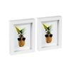Nicola Spring 5" x 7" White 3D Box Photo Frames - 4" x 6" Mount - Pack of 2