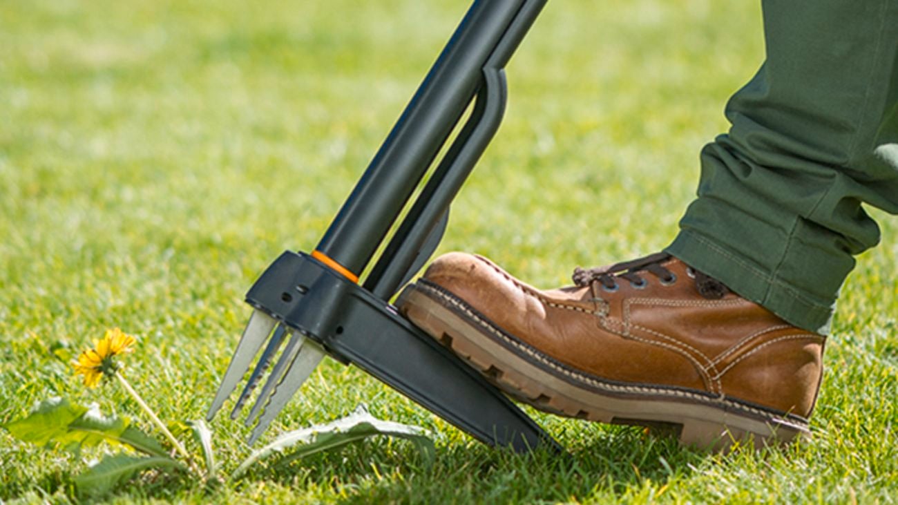 How To Kill Weeds Without Chemicals Bunnings Australia