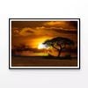 Sunset In Africa Over Tree  Print 100% Australian Made 90x60cm  (poster)