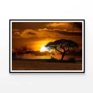 Sunset In Africa Over Tree  Print 100% Australian Made 90x60cm  (poster)