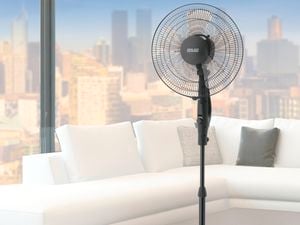 Fans products