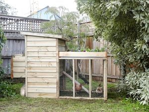 DIY Step Image - How to build a D.I.Y. chicken coop . Blob storage upload.