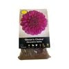 Yarra Valley Bulbs Dahlia Devon Choice - 1 Pack