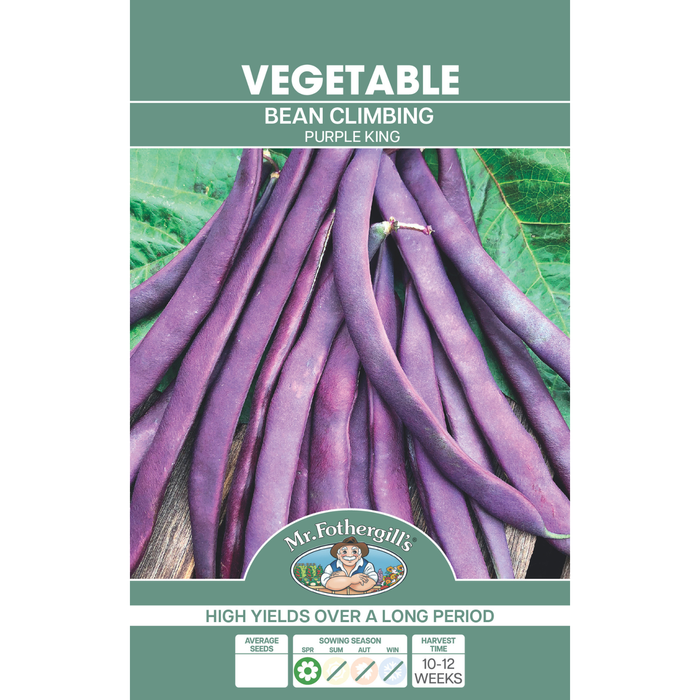 Mr Fothergill's Climbing Bean Purple King Seeds