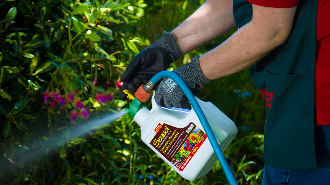 Person fertilising garden using Seasol Complete Garden Health Treatment.