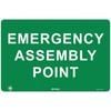 Pinnacle 600 x 400mm Metal Emergency Assembly Point Sign