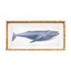 Lvd Wooden Frame Nautical Whale Print Wall Hanging Decor 30x75cm Assorted