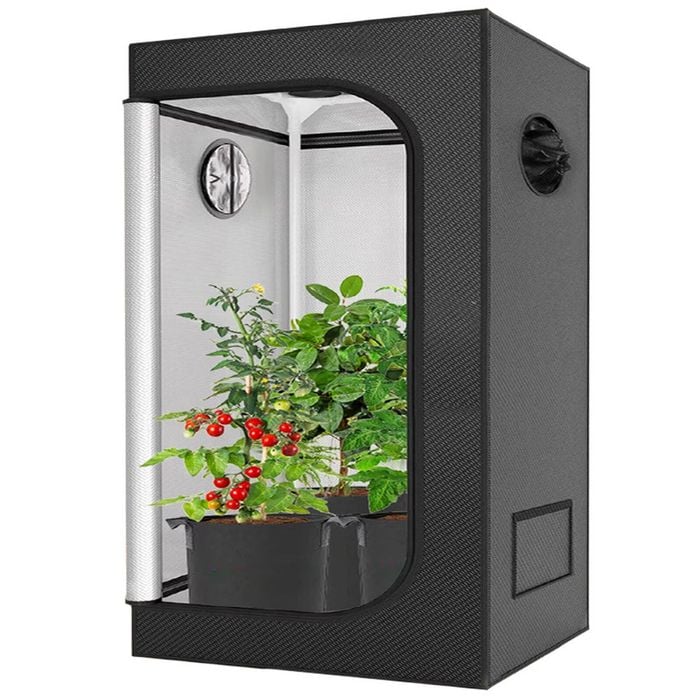 Indoor Grow Tent Larger Hydroponic Grow System 102x102x199cm Observation Window