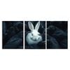 3pcs White rabbit, crow Art Painting Print 100% Australian Made 3 x 40x60cm (Metal Print)