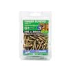 Zenith 10G x 30mm Gold Passivated Type 17 Countersunk Head Timber Screws - 100 Pack