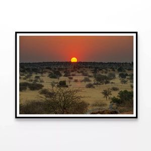 Nature View with Trees & Sunset   Print 100% Australian Made 120x90cm  (Poster)