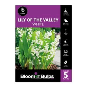 Bloomin' Bulbs Lily Of The Valley - 5 Pack