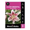 Bloomin Bulbs Lilium Anastasia - 2 Pack