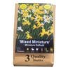 Yarra Valley Bulbs Daffodil Mixed Miniature - 3 Pack