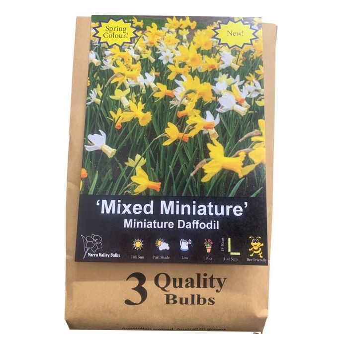 Yarra Valley Bulbs Daffodil Mixed Miniature - 3 Pack