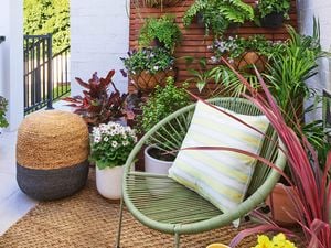 A balcony with potted plants, a wicker stool, and a green chair with a striped cushion, against a wooden screen with hanging plants.