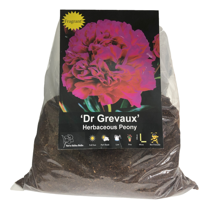 Yarra Valley Bulbs Peony Dr Grevaux - 1 Pack