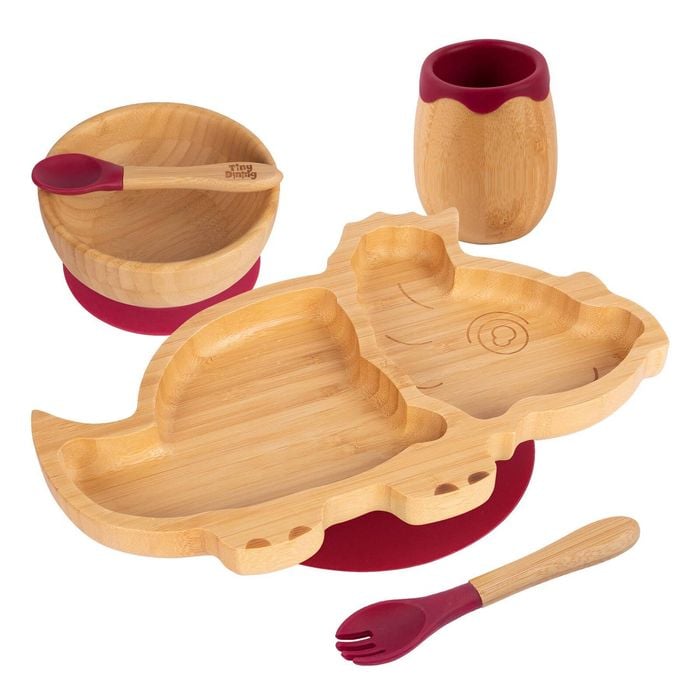 5pc Bamboo Dinosaur Baby Weaning Set