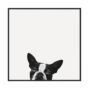 Artey | Loyalty - Framed Canvas - Black Frame - 100 x 100cm