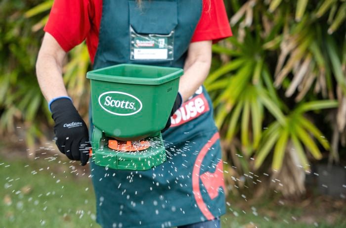 Masterful feeding: Precision choices for optimal lawn growth and health