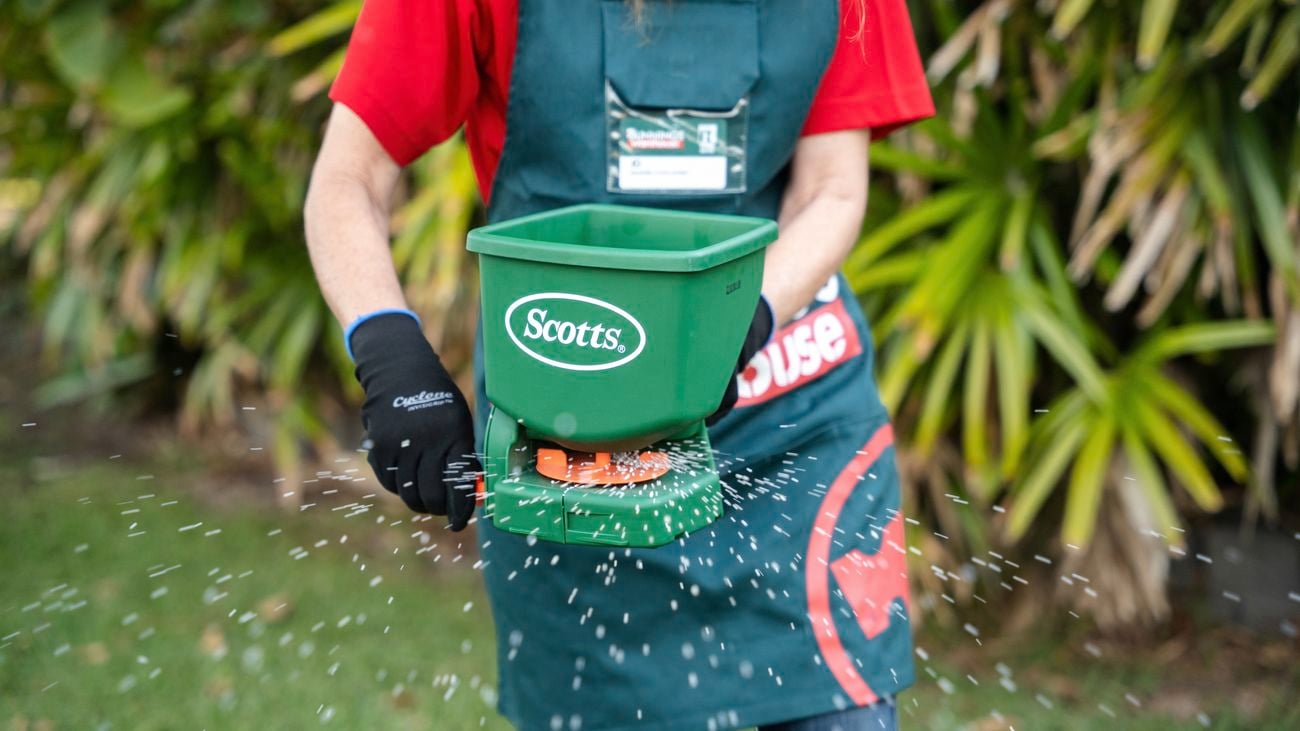 Masterful feeding: Precision choices for optimal lawn growth and health