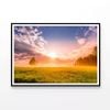 Sunrise, Forest with Meadows  Print 100% Australian Made 90x60cm  (Poster)