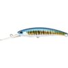 Duo Realis Fangbait 120DR Floating Hard Body Fishing Lure AFA0224 Wahoo HD
