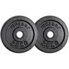 METEOR 2.5kgx2 Black Cast Iron Standard Weight Plates