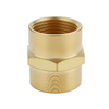 Kinetic - 20mm Brass Threaded Hex Socket LF