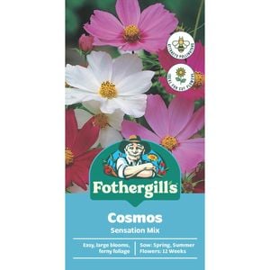 Fothergill's Sensation Cosmea Flower Seeds