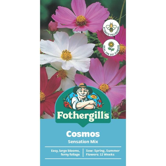 Fothergill's Sensation Cosmea Flower Seeds