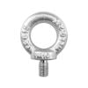 Pinnacle 42 x 65 x 13mm M10 Zinc Plated Eye Bolt