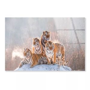 Siberian Tiger & Winter  Print 100% Australian Made 90 x 60cm  (Acrylic)