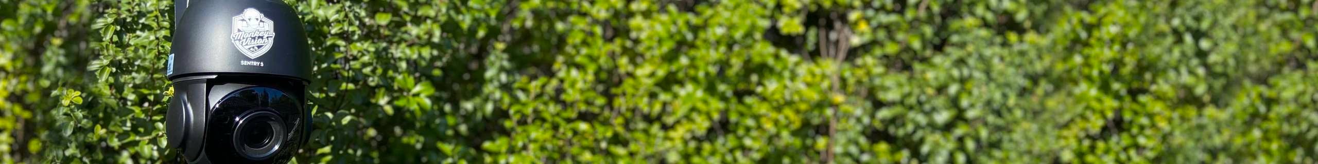 monkey vision camera with a background of lush green trees
