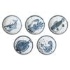 Omotenashi Sea Creature Side Dishes – Set of 5