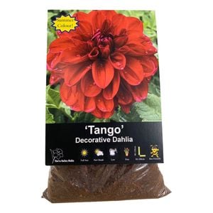 Yarra Valley Bulbs Dahlia Tango - 1 Pack