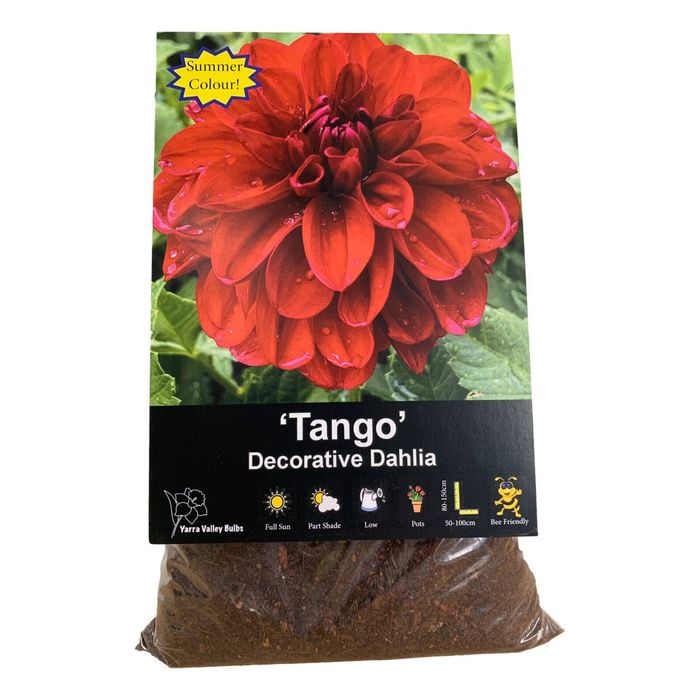 Yarra Valley Bulbs Dahlia Tango - 1 Pack