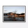 Lake with a Tree with Mountains  Print 100% Australian Made 90x60cm  (Poster)
