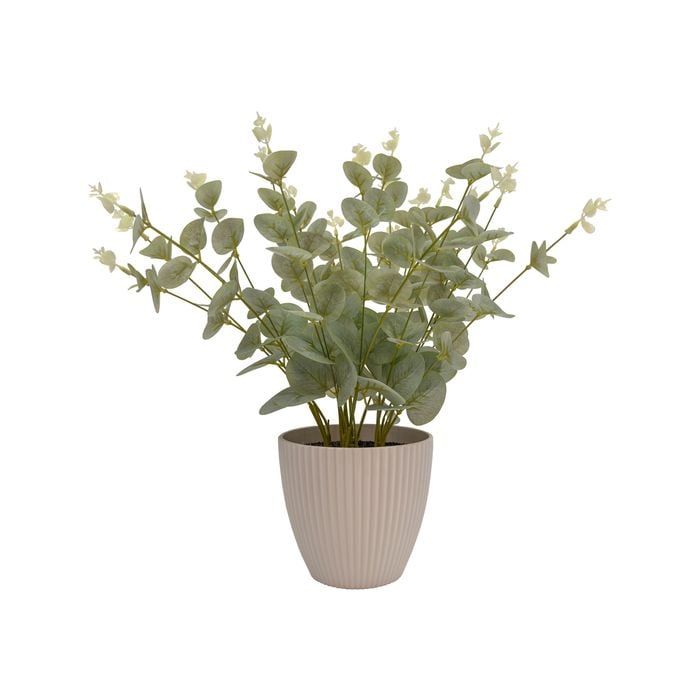 Artificial Plant - Baby Eucalyptus - Green 38cm