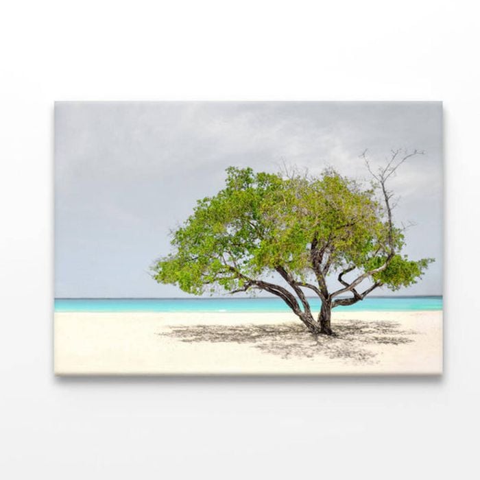Tree In Beach  Print 100% Australian Made 150 x 100cm  (Acrylic)