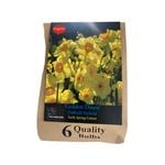 Yarra Valley Bulbs Daffodil Golden Dawn - 6 Pack